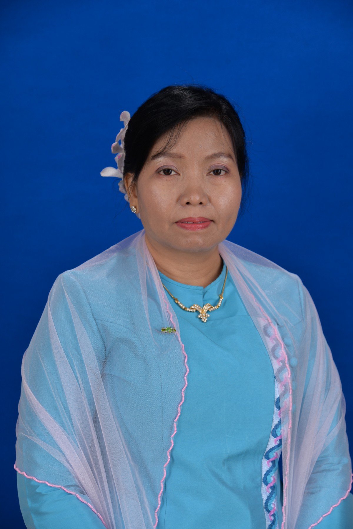 Prof. Dr. Hla Hla Win